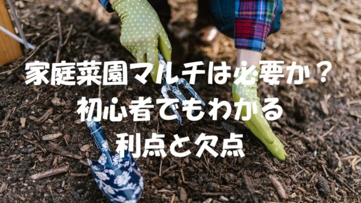 家庭菜園マルチは必要か？初心者でもわかる利点と欠点