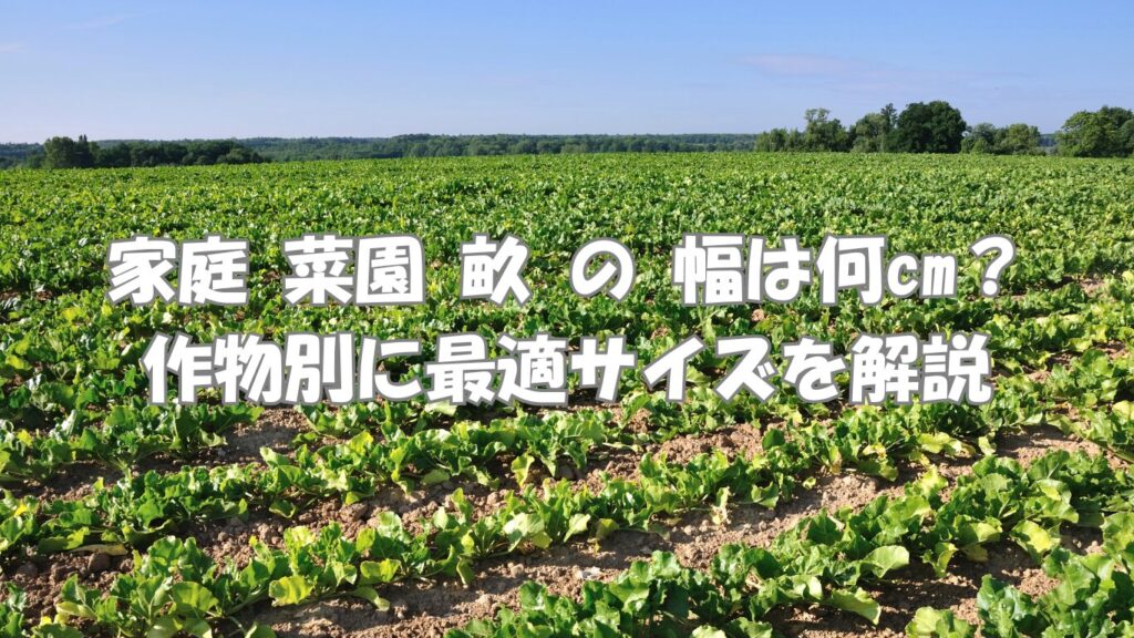 家庭 菜園 畝 の 幅は何cm?作物別に最適サイズを解説