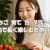 プランターでいちごを育てる女性と育て方を紹介するアイキャッチ画像