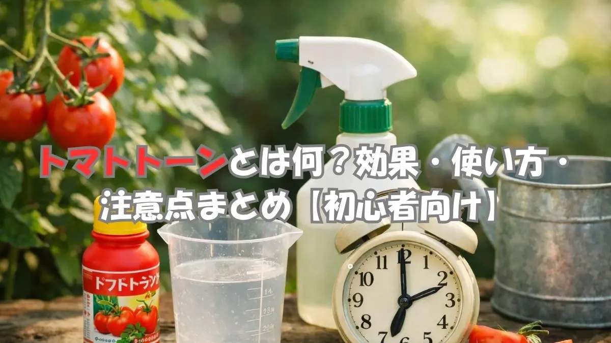 トマトトーンの使い方｜トマトの花に散布する着果促進剤の使用例