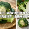 ブロッコリーの白い部分は食べられる？カビとの見分け方と危険な状態を解説するイメージ