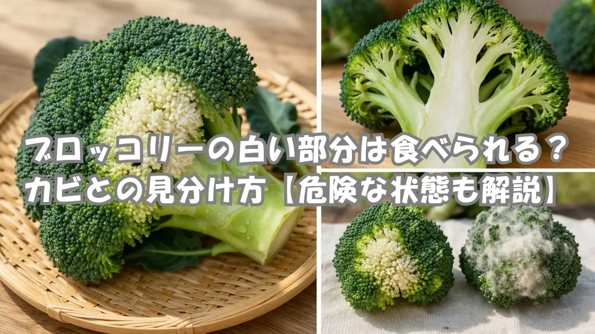 ブロッコリーの白い部分は食べられる？カビとの見分け方と危険な状態を解説するイメージ