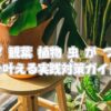 ベランダ-観葉-植物-虫-が-つか-ない-を叶える実践対策ガイド