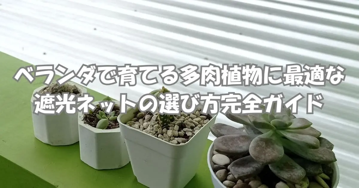ベランダで育てる多肉植物に最適な遮光ネットの選び方完全ガイド