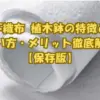 不織布 植木鉢の特徴と使い方を解説するガーデニング用プランターのイメージ画像