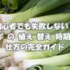 畑の長ネギと作業風景｜ネギ の 植え 替え 時期 と 仕方をわかりやすく解説するガイド用アイキャッチ