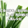 長ネギの上の方の活用方法と人気レシピを紹介するアイキャッチ画像