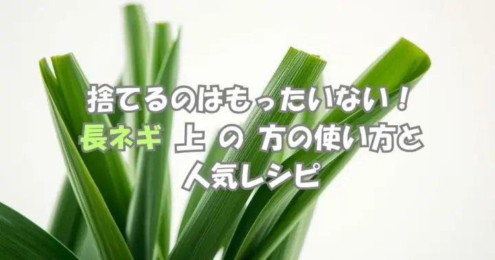 長ネギの上の方の活用方法と人気レシピを紹介するアイキャッチ画像