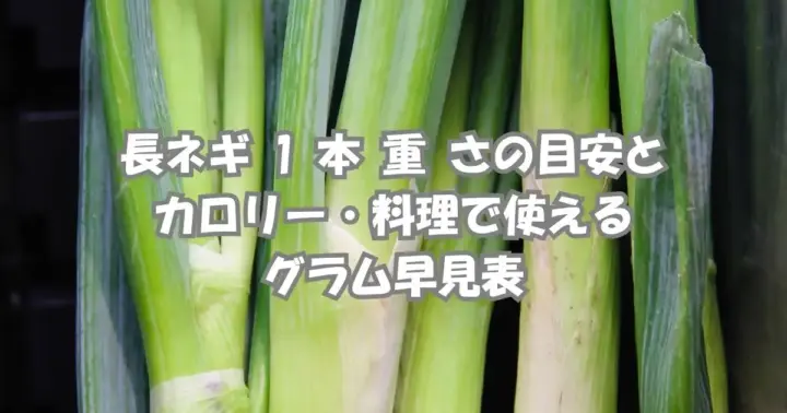 長ネギ1本の重さとカロリー・値段の目安をわかりやすく解説する記事のアイキャッチ画像