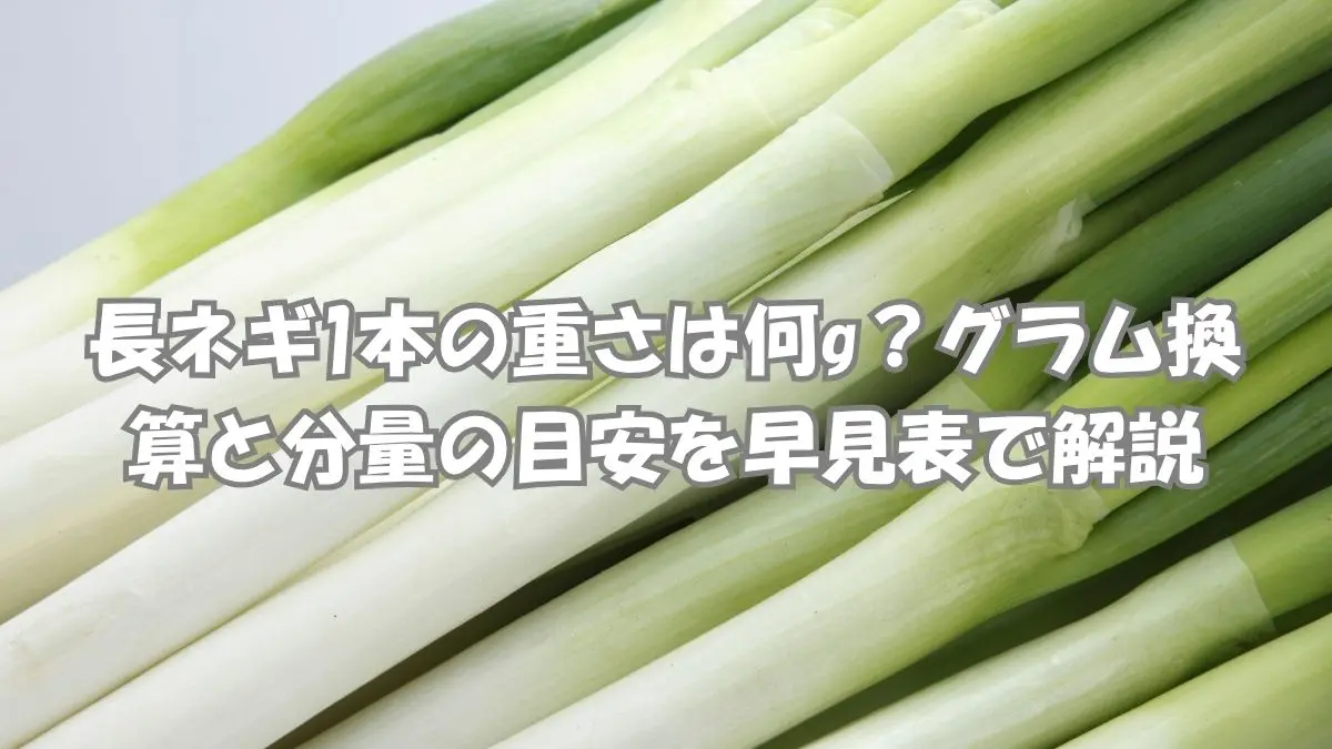 長ネギ1本の重さは何gかをイメージしやすいように束ねた長ネギで分量の目安を表した画像