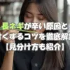 長ネギが辛い原因と甘くするコツを解説するアイキャッチ画像。見分け方や調理のポイントをわかりやすく紹介。