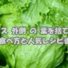 新鮮なレタスの外側の葉が並ぶ様子。栄養豊富な外葉を捨てずにおいしく活用する方法を紹介する記事のアイキャッチ画像