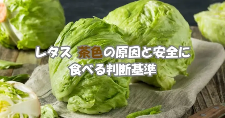 「レタスをハウス栽培で育てている様子。収穫前の新鮮な緑色のレタスが並んでいる。」