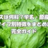 新鮮なレタスの葉と畑の風景｜レタスは何科かを解説する植物分類ガイド