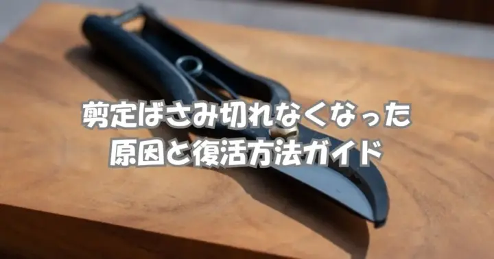 剪定ばさみとダイヤモンドシャープナーが並んだ写真。刃を研ぐための道具として撮影された画像