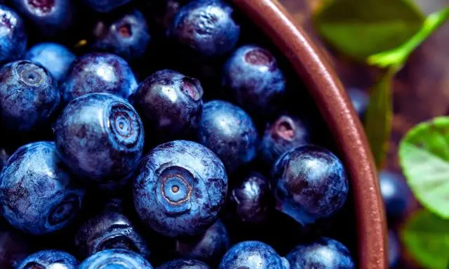 家庭で育てたブルーベリーを収穫して器に盛り付けた様子