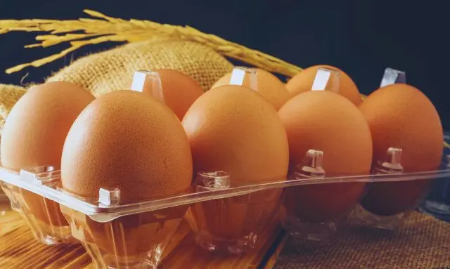 卵パックを使っていちごの種まきを行う育苗準備の様子