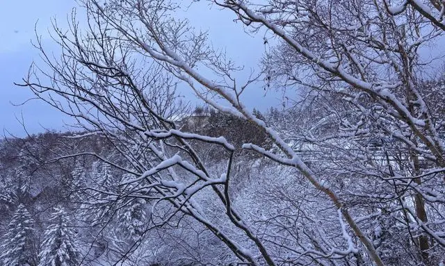 北海道の冬に雪が積もる屋外環境と寒さの厳しさを示す風景