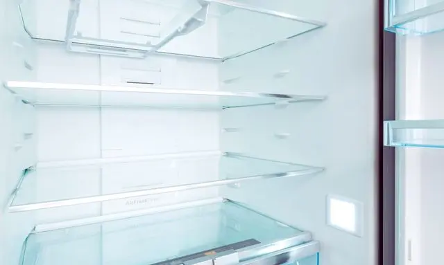 ビオラの種を低温処理するために冷蔵庫で保管する環境の様子