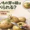 じゃがいもの芽や緑色部分は食べられるのかを包丁で処理しながら解説するイメージ