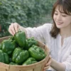 ピーマンを収穫する若い日本人女性と新鮮な緑ピーマンのバスケット｜家庭菜園の収穫風景