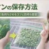 ピーマンの保存方法を解説する女性｜冷蔵・冷凍で長持ちさせるコツ