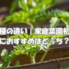 苗と種の違いを比較して家庭菜園を始める20代女性