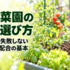 野菜別プランターの大きさ一覧｜必要な深さ・容量・株数の目安