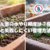 ほうれん草の水やり頻度の違いを示すアイキャッチ画像。発芽前後の管理と失敗しにくい水やり方法のポイント