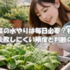 小松菜のプランター栽培で土の乾き具合を確認する20歳の日本人女性。初心者向けに水やりの考え方をイメージしたアイキャッチ画像