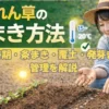 ほうれん草の種まき方法を初心者向けに示したアイキャッチ画像