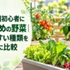 家庭菜園初心者におすすめのミニトマト、ピーマン、葉物野菜、ラディッシュをプランターで育て、季節別に育てやすい野菜を紹介するアイキャッチ画像。