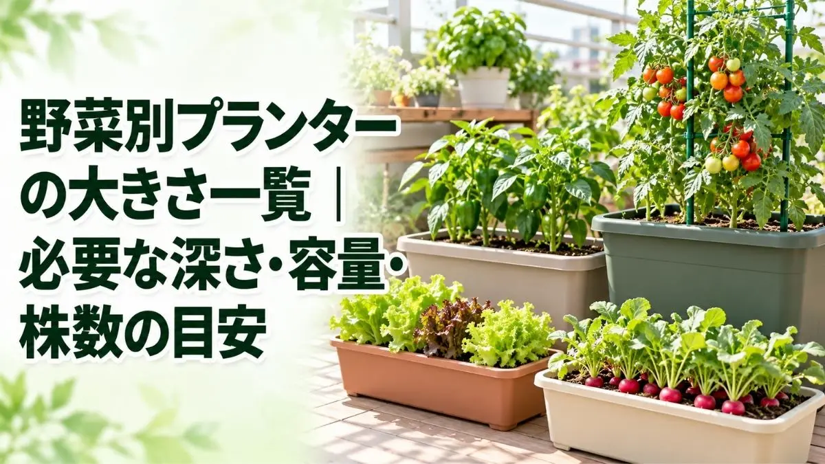 野菜別プランターの大きさ一覧｜必要な深さ・容量・株数の目安
