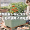 初心者が失敗しないプランターの大きさを比較しながら家庭菜園をしている女性