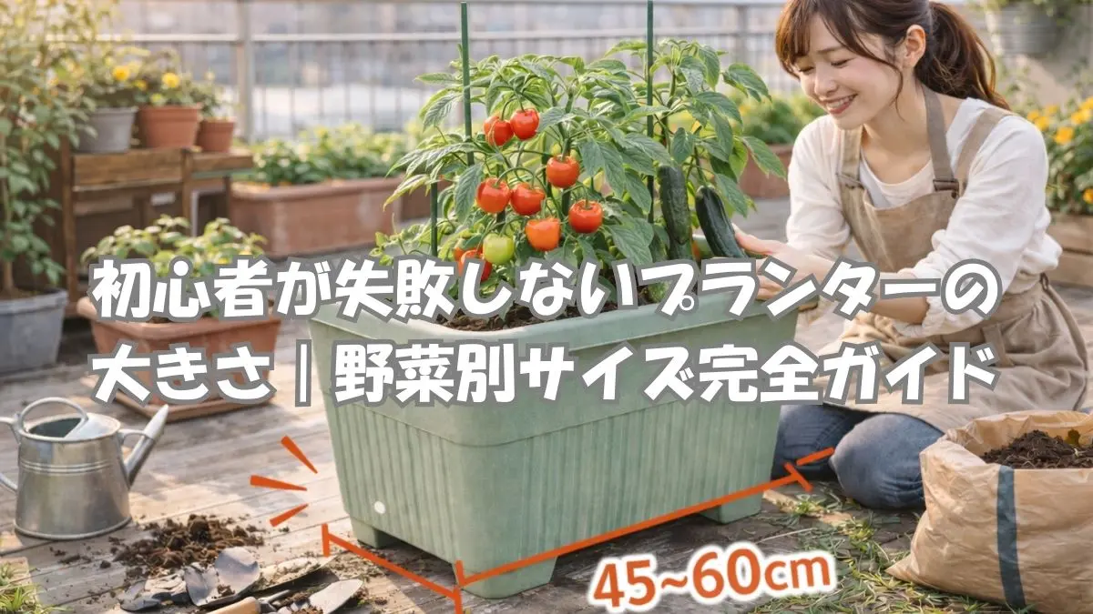 初心者が失敗しないプランターの大きさを比較しながら家庭菜園をしている女性