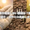 小松菜が発芽しない原因をイメージしたアイキャッチ画像。種まき時期・まく深さ・水やりの見直しポイントを表現