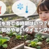 小松菜を育てる時期の違いと春秋の始めやすさをイメージしたアイキャッチ画像