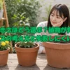 鉢の大きさ選びに迷う初心者の女性が、サイズの違う鉢と植物を見比べながら育てやすい鉢サイズを考えている様子
