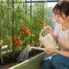 トマトの水やり頻度の正解｜プランターで失敗しない管理のコツ