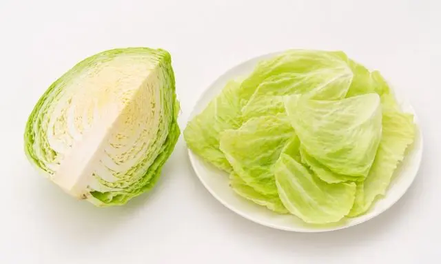 キャベツ1/4の葉の枚数は何枚？目安がわかるカットと葉の比較