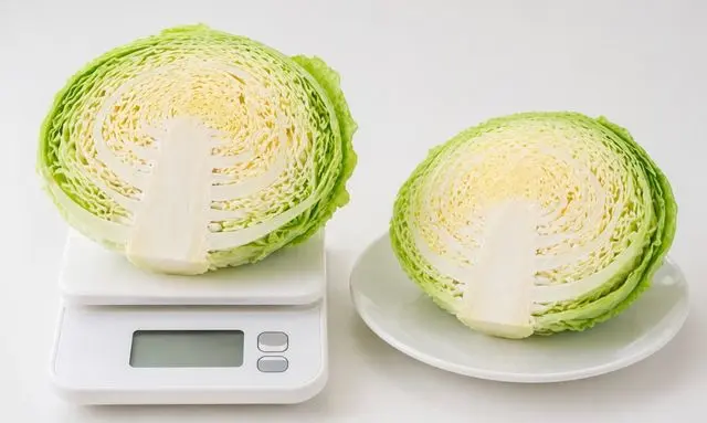 キャベツ半分の重さは何g？量の目安がわかる比較画像