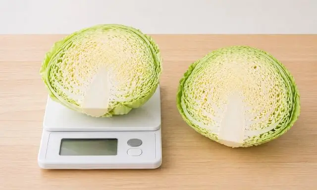 キャベツ半分の重さは何g？量の目安がわかる実例画像