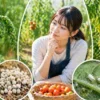 トマトの葉が丸まる原因（肥料過多・病気・害虫）と対処法を考える様子