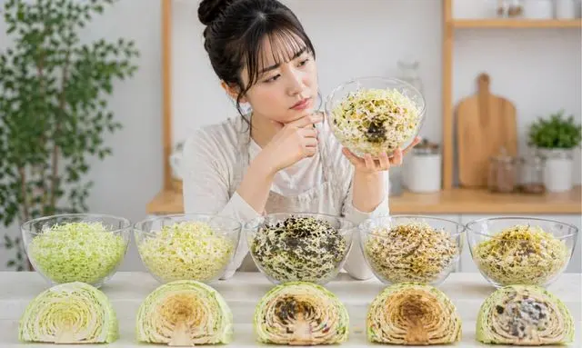 黒く変色した千切りキャベツと新鮮な状態を比較して食べられるか迷う女性