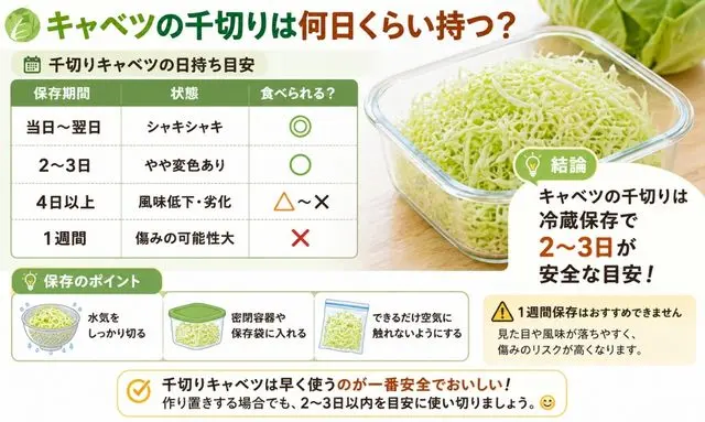 千切りキャベツの日持ち目安を表で比較し何日持つか判断できる保存ガイド画像