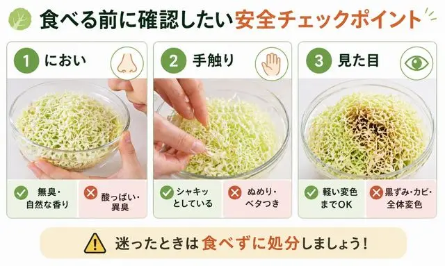 千切りキャベツは食べて大丈夫？におい・手触り・見た目で判断する安全チェックポイントを図解