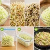 千切りキャベツが茶色や黒くなる原因と食べられる状態の判断方法｜保存のコツまでまとめ