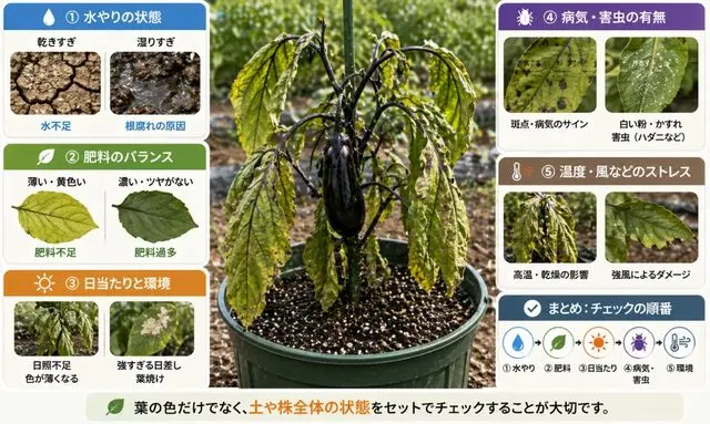 ナスの葉の色が悪い原因（水やり・肥料・日当たり・病気・環境）を順番に確認できる診断チェック図
