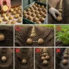 じゃがいもの植え方まとめ｜切るタイミング・芽出し・深さの正解と失敗例が一目でわかる