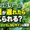 ブロッコリーの収穫遅れで花が咲き始めた状態と、食べられるか判断するためのNGサインを解説するアイキャッチ画像